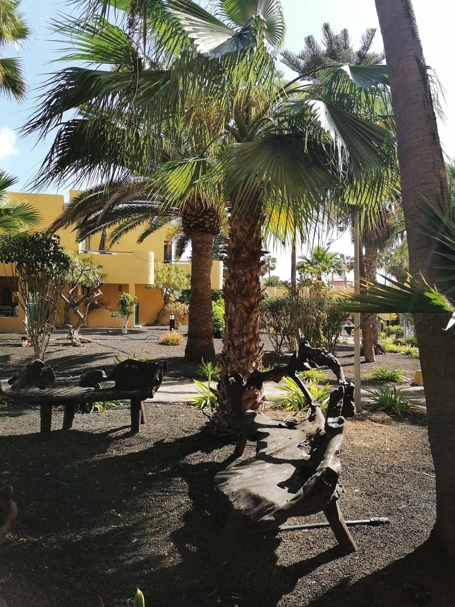 Ferienwohnung Casa Magdalena Corralejo Exterior foto